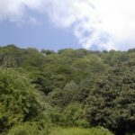 A Castelbuono le “scampagnate dell’amicizia”
